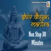 About Shiv Dhyan Mantra Non Stop 30 Minutes Song